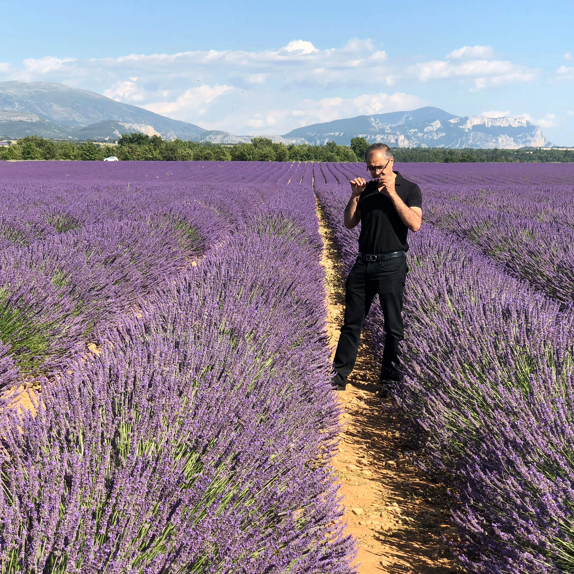 Puneet Nanda standing between rows of lavender, smelling a sprig